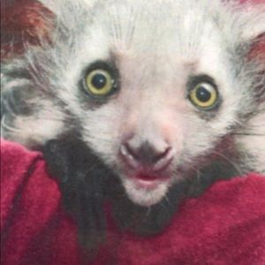 Meet your Posher, Christy